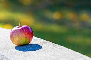 Apple on the granite curbs photo