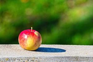 Apple on the granite curbs photo