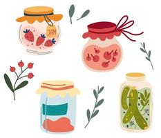 Homemade jars of preserving the fruit and vegetables. Set of glass jars with preserved vegetables, stewed fruits and berry jams. Berry compote or marmalade, jam. Autumn harvest season. Vector