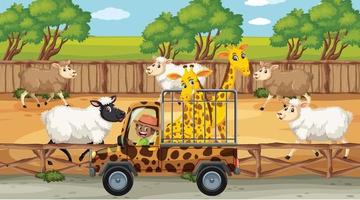 Safari scenes with many sheeps and kids cartoon character vector
