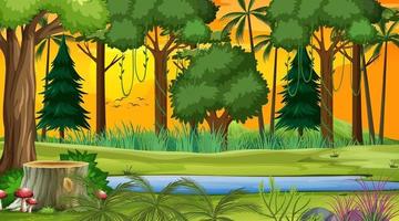 escena del paisaje forestal al atardecer con muchos árboles diferentes vector