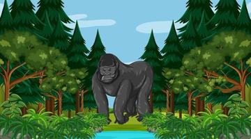 Gorilla in forest or rainforest scene with many trees vector