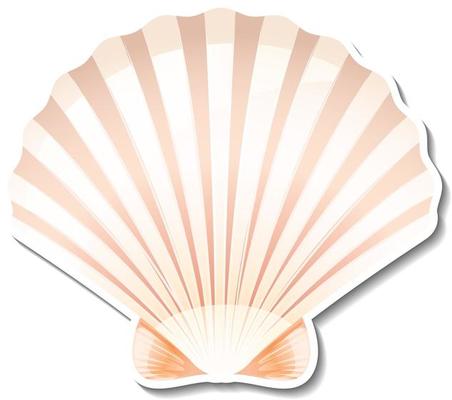 Scallop sticker on white background