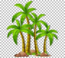 Many palm trees isolated vector