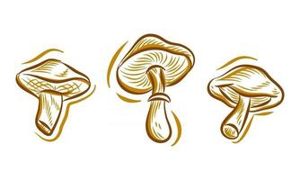 Set of Mushroom Hand Drawing Illustration doodle for branding logo background element vector