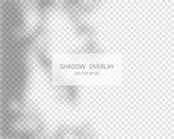 Shadow overlay effect. Natural shadows isolated on transparent background. Vector illustration.