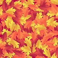 Seamless pattern with colorful autumn leaves. vector