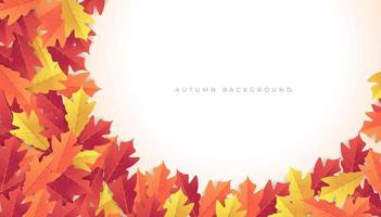 Colorful autumn leaves banner background. vector