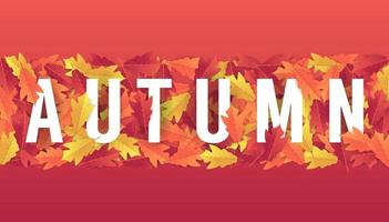 banner de venta de otoño para la venta de compras. Fondo colorido de las hojas de otoño. vector