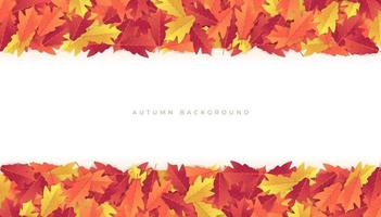 Colorful autumn leaves banner background. vector