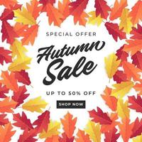 Autumn sale banner for shopping sale. Colorful autumn leaves background. vector