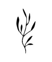 branch with leaves on a white background vector