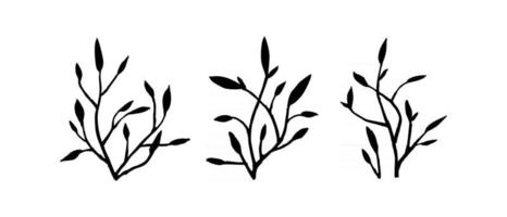 set of twigs on a white background vector