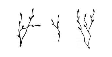 set of twigs on a white background vector