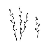 decorative twig on a white background vector