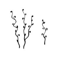 decorative twig on a white background vector