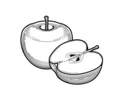 Ilustración de vector de manzana de líneas finas