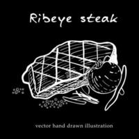 Hand drawn sketch ribeye steak. Food element for menu design vector