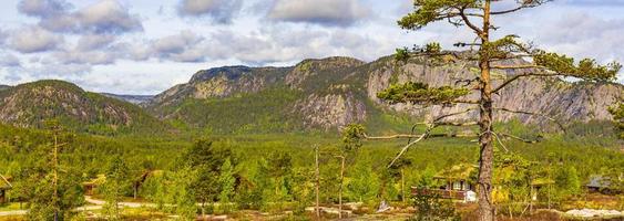 Panorama with fir trees and mountains nature landscape Nissedal Norway. photo