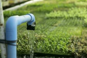 Hydroponic system flow water and fertilizer automation for green oak vegetable garden photo