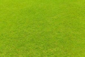 Green grass texture background photo