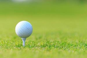 Golf ball on tee on green grass, golf court photo