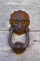 Ancient lion shaped door knocker
