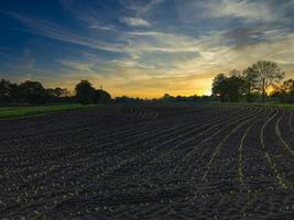 Una escena rural de un campo durante la puesta de sol en Alemania foto