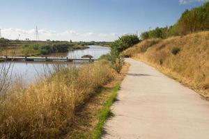 The pedestrian footpaths intersect in the park in summer in sunny weather photo