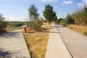 The pedestrian footpaths intersect in the park in summer in sunny weather photo