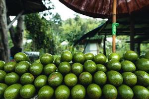 Avocados on a table at a street market photo