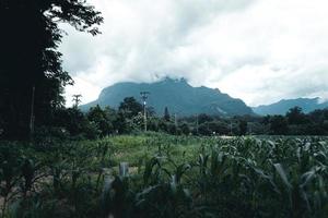 Mountains and villages in the rainy season photo