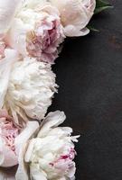 Peony flowers on a black concrete background photo