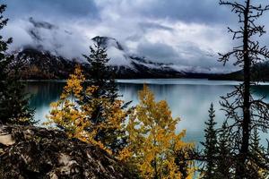 colores de otoño en el puerto deportivo. lago minnewanka, parque nacional banff, alberta, canadá