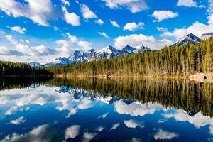 Early morning reflections in the crystal clear waters of Herbert Lake. Banff National Park, Alberta, Canada photo