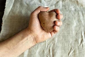 A man's hand holds an ugly vegetable, a heart-shaped potato on a background of linen cloth. square, ugly food. photo