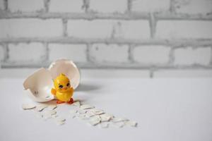 White egg shell of a broken chicken egg with fragments and a hatched chicken isolated. Easter photo