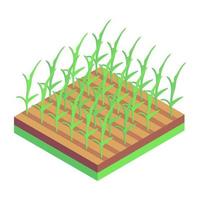 Plants Field and Agriculture vector