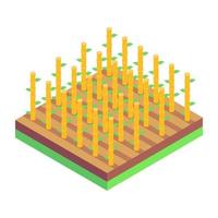 Bamboo Farm Cultivation vector