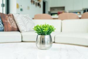Plant in vase decoration on the table in living room