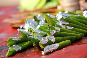 paan, un refrescante bucal indio foto