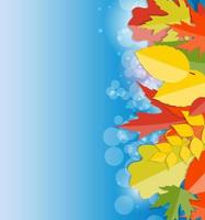 Shiny Autumn Natural Leaves Background. Vector Illustration