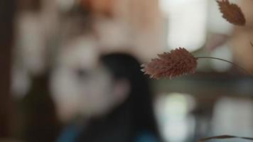 Dried flowers in front with one blurred girl talking at table in background video