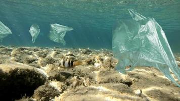 mers sans déchets plastiques dans l'océan - ocean conservancy