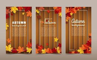 autumn maple leaf background banner vector