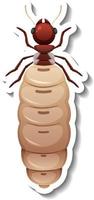 A sticker template with top view of primary queen termite isolated vector