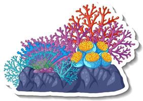 una plantilla de pegatina con elemento de mar de coral aislado vector