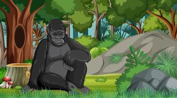 Gorilla in forest or rainforest scene with many trees vector