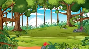 Forest scene with various forest trees vector