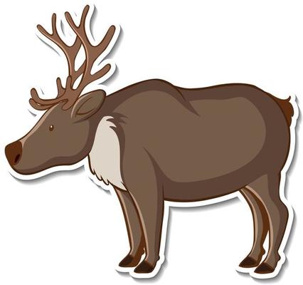 Sticker design with cute moose isolated